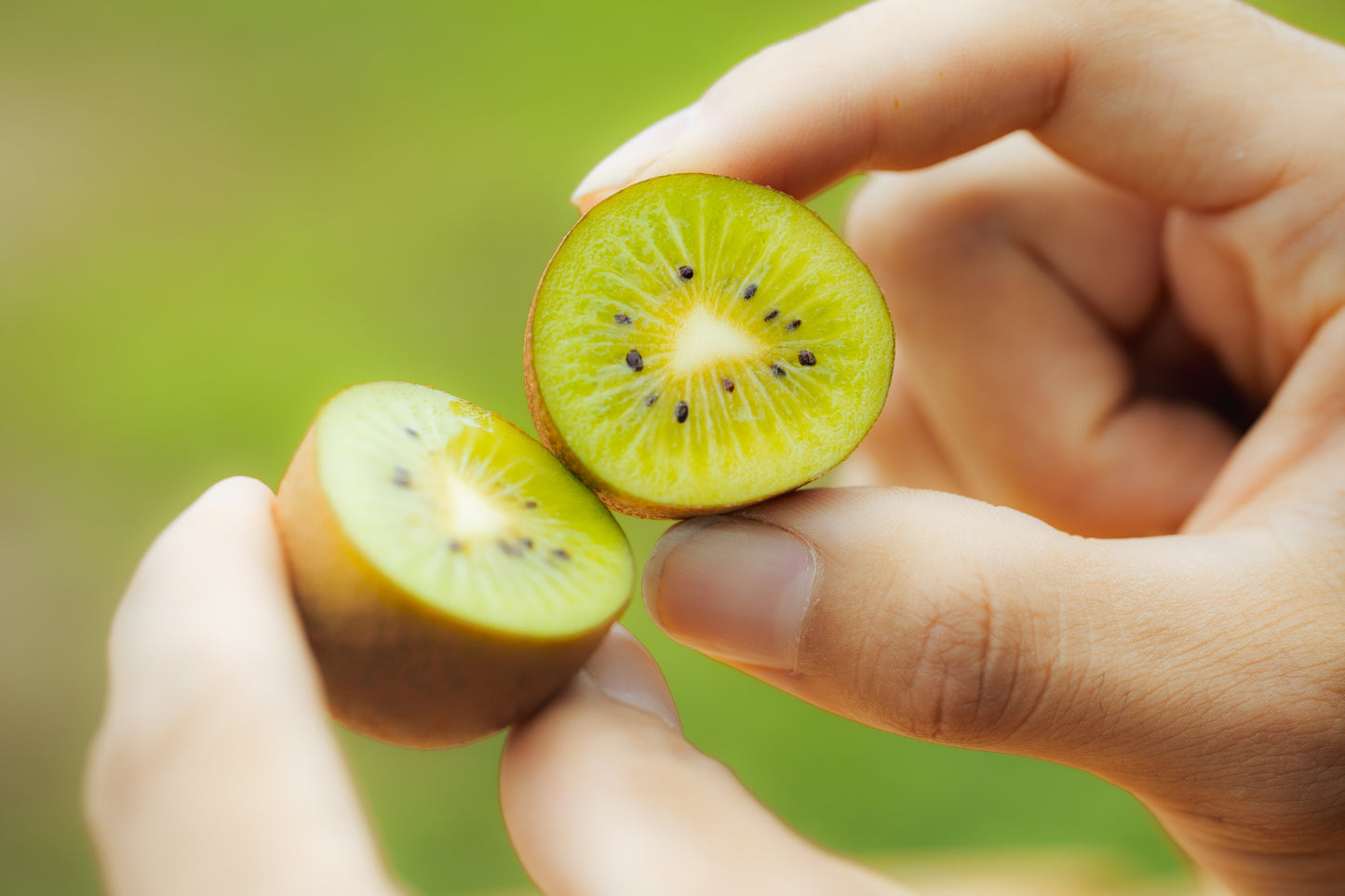 キウイの国select｜さぬきキウイっこ 5パックセット